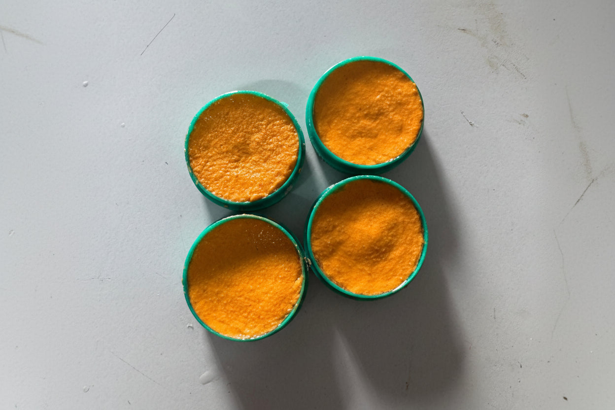 Cockroach Killer Gel (Pack of 2)